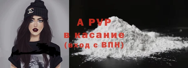 крисы Белокуриха