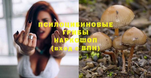 крисы Белокуриха