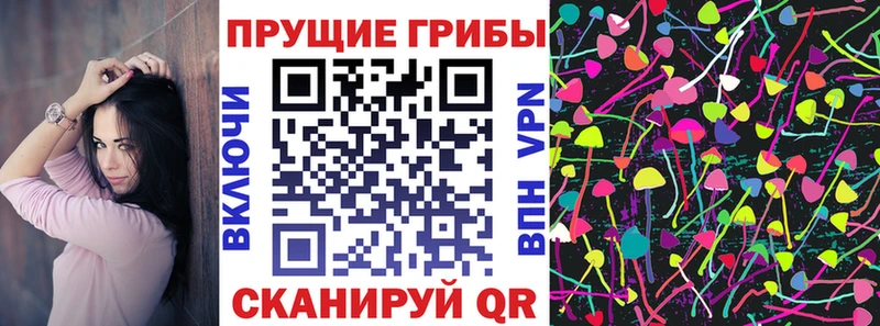 Галлюциногенные грибы мицелий  Будённовск 